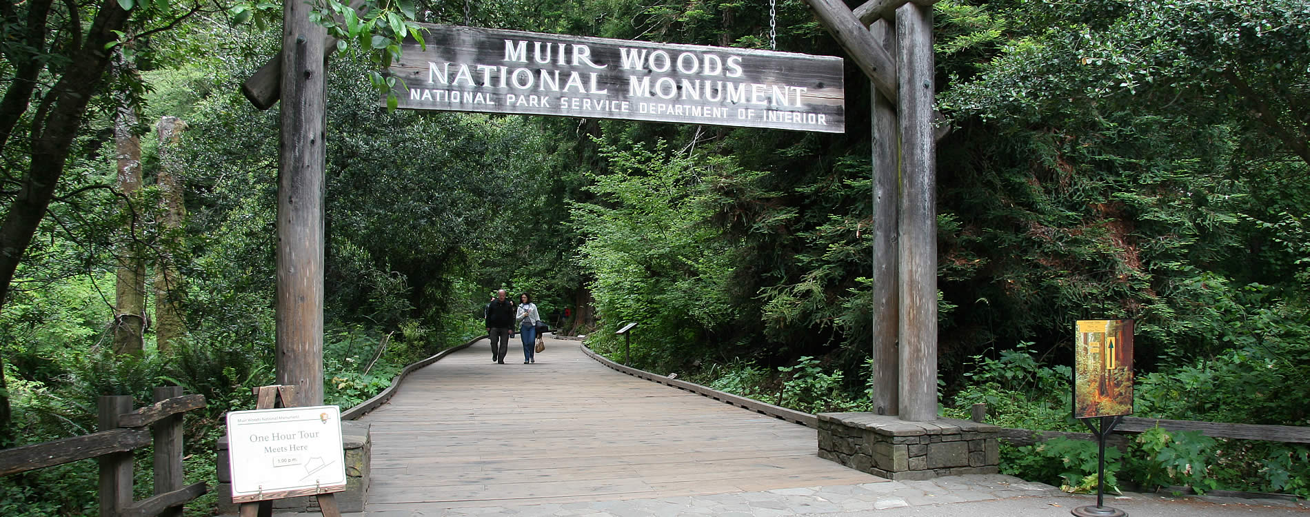 hike muir woods national monument