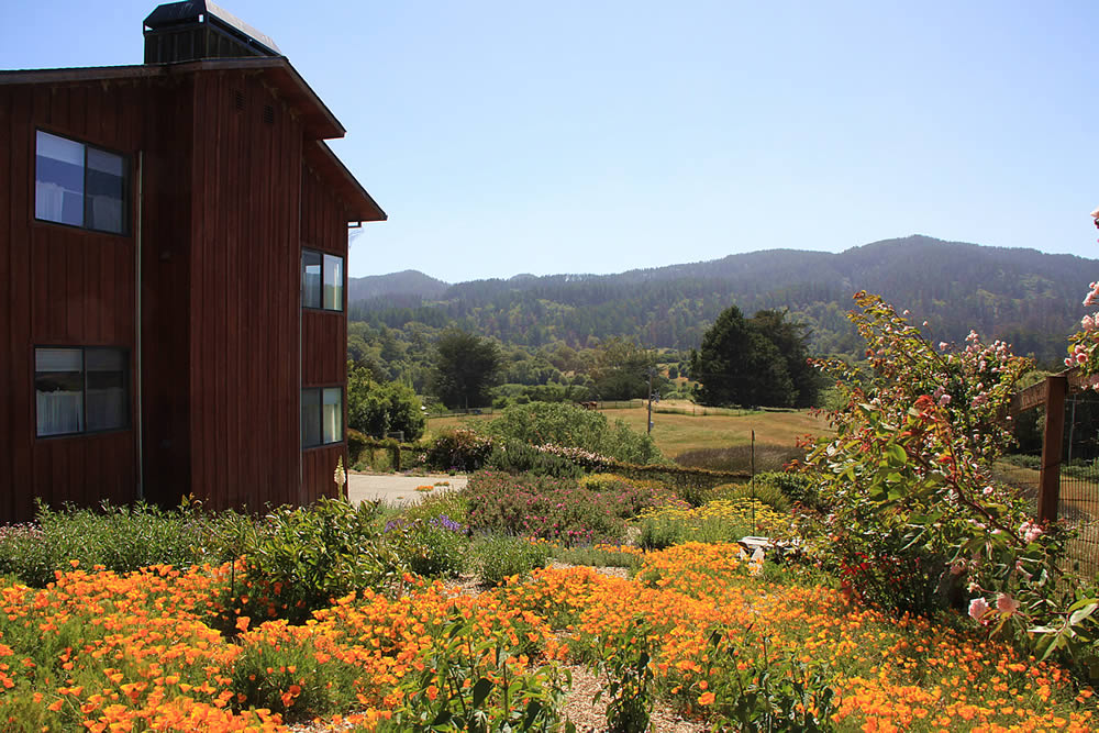 point reyes lodging - view from inn at roundstone farm